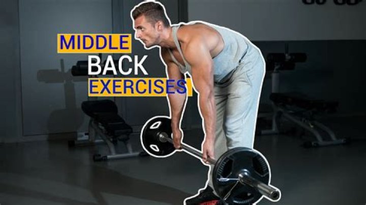 What is the best back exercise for mass?