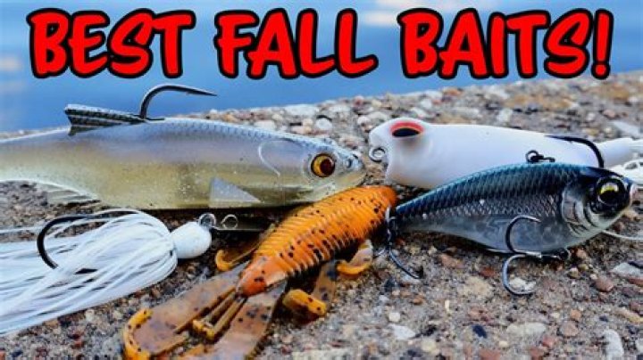 What is the best bait for bass in the fall?