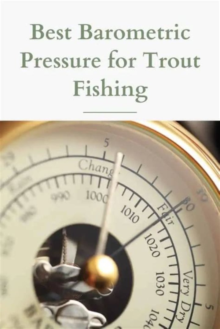 What is the best barometric pressure for fish to bite?