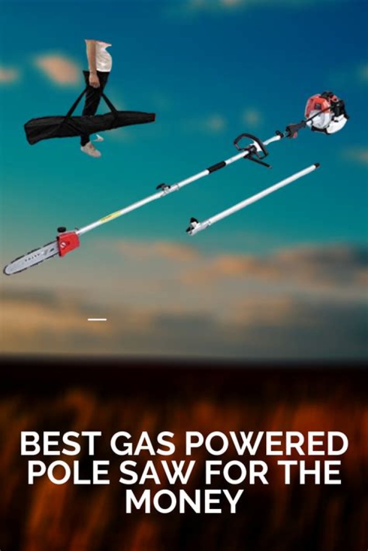 What is the best gas pole saw for the money?