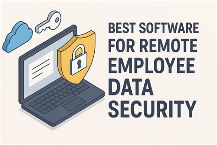 What is the best software for data entry?