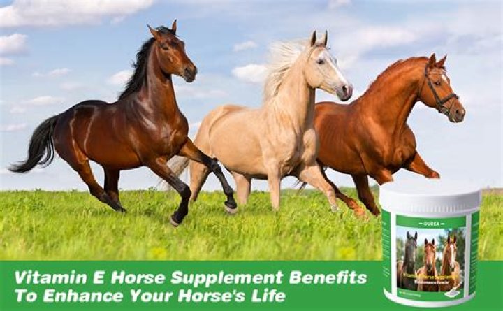 What is the best supplement for thinning skin?