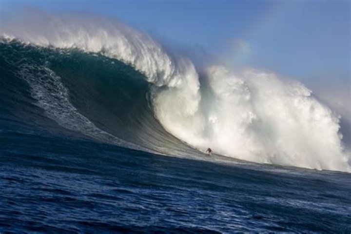 What is the biggest wave at the Wedge?