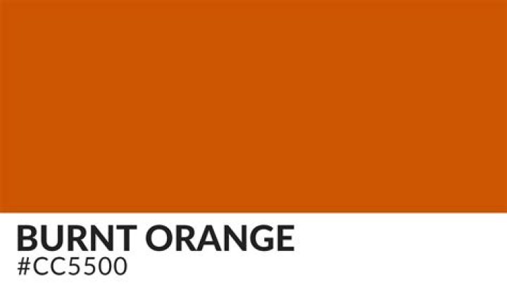 What is the Colour of burnt orange?