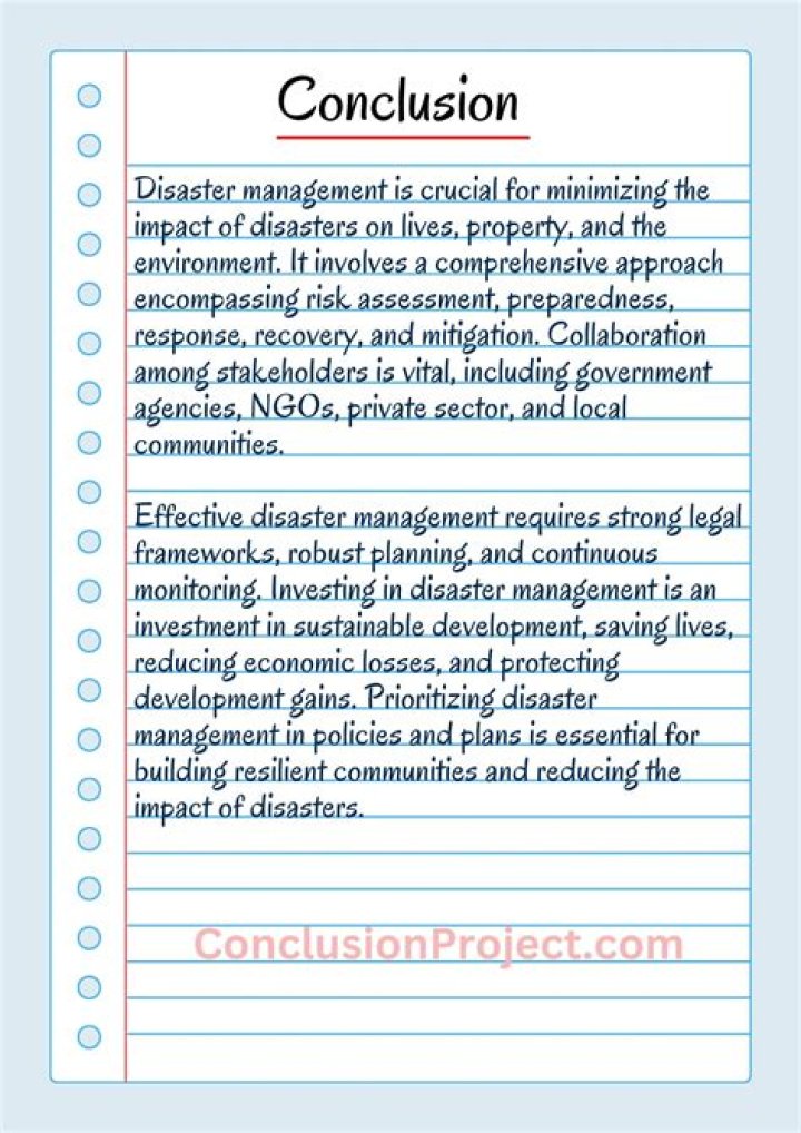 What is the conclusion of accountancy project?