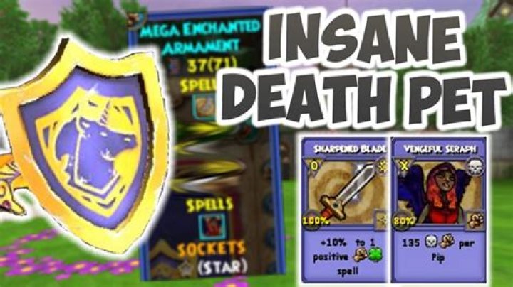 What is the death school pet Wizard101?