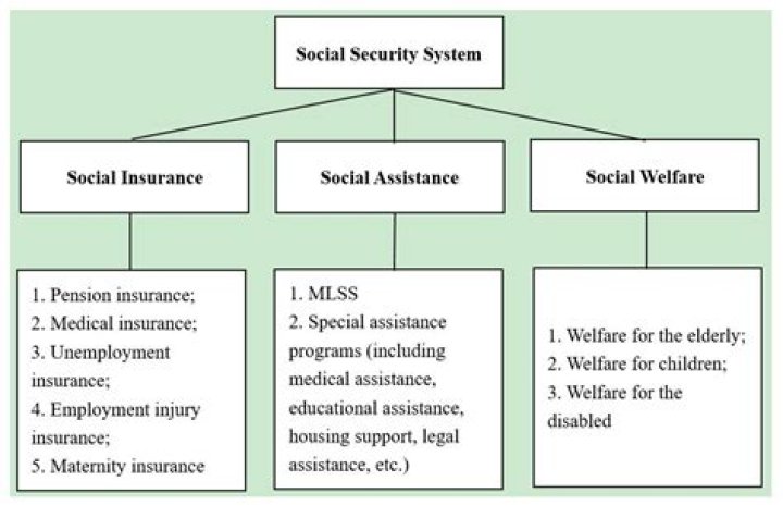 What is the difference between social assistance and welfare?