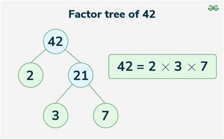 What is the factor tree of 284?