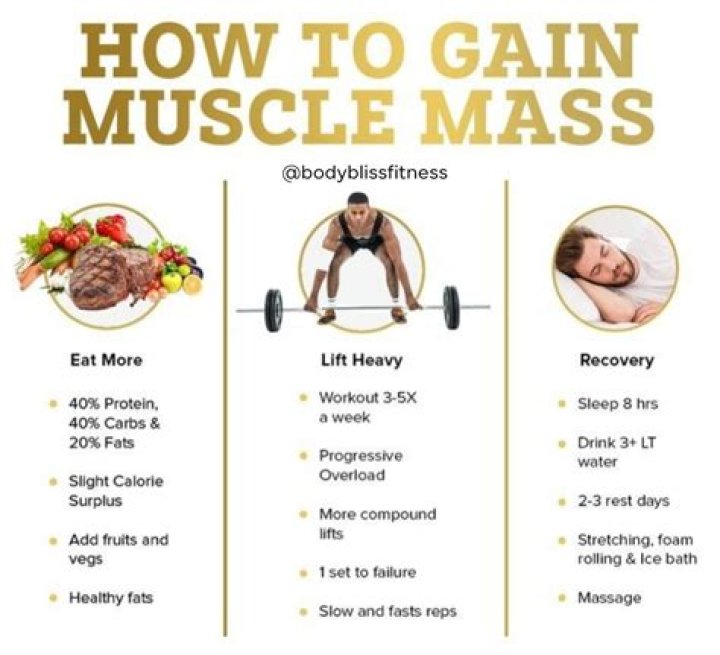 What is the fastest way to gain muscle mass?