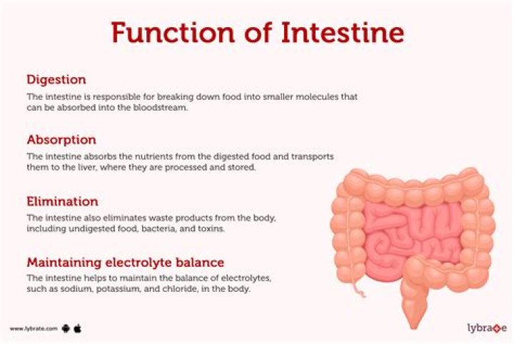 What is the function of Ltrim?