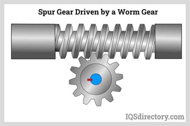 What is the function of worm and spur gears?