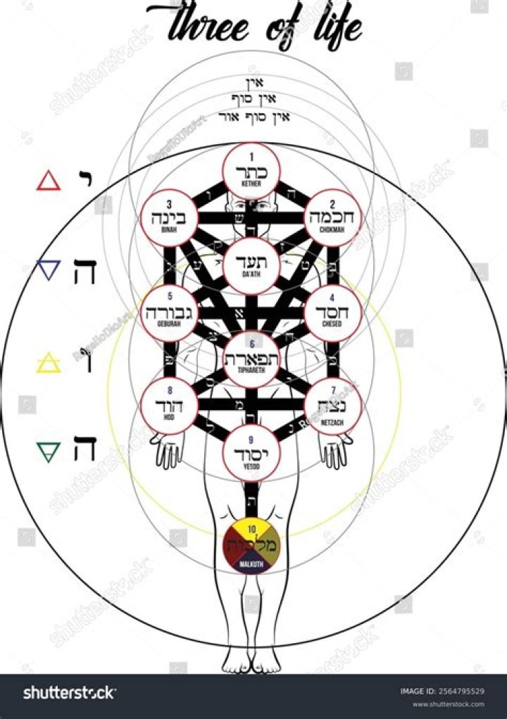 What is the Hebrew Tree of Life?