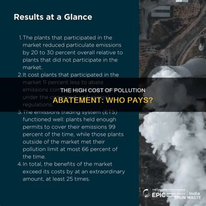 What is the marginal cost of pollution?