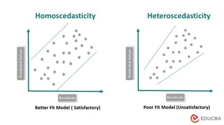 What is the meaning of heteroscedasticity?