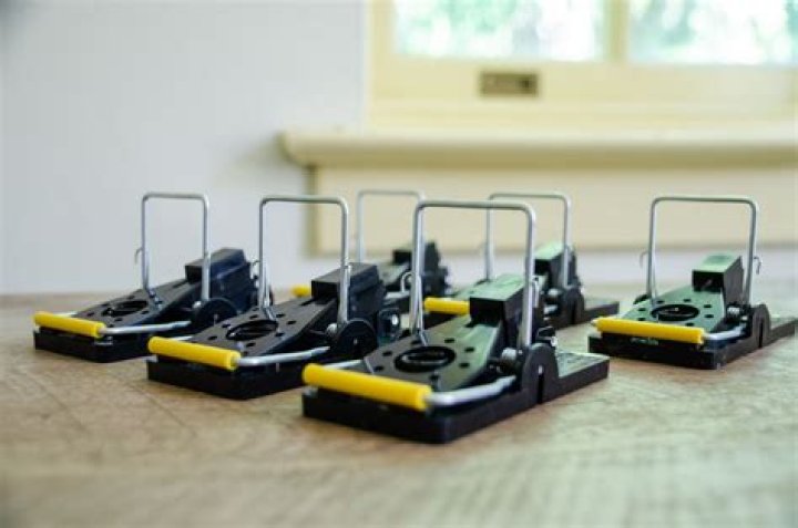 What is the most effective mouse trap?