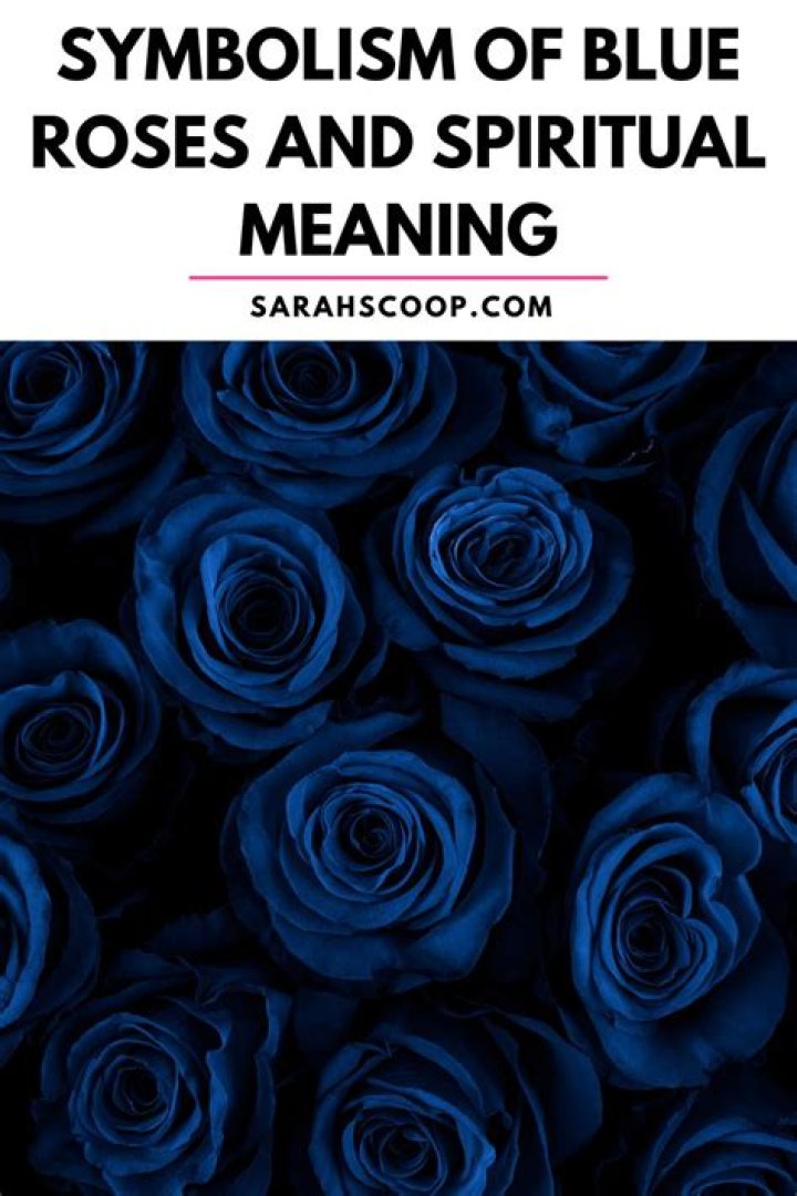 What is the name for a blue rose?