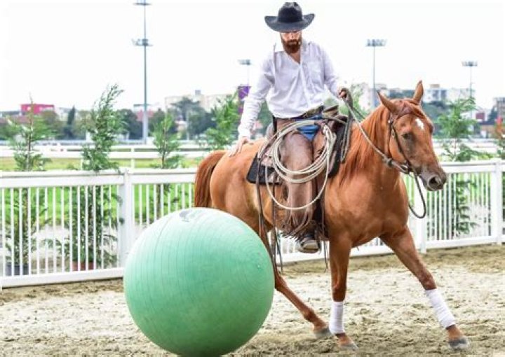 What is the Parelli method of horse training?