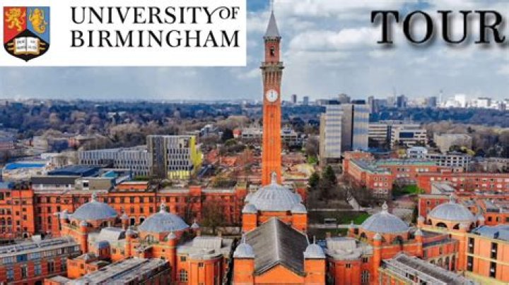 What is the rank of University of Birmingham in UK?