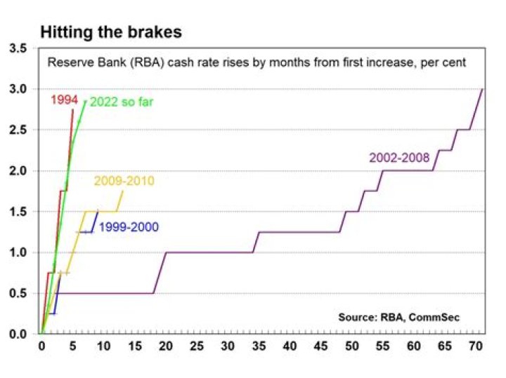 What is the rate of Xolo cheap?