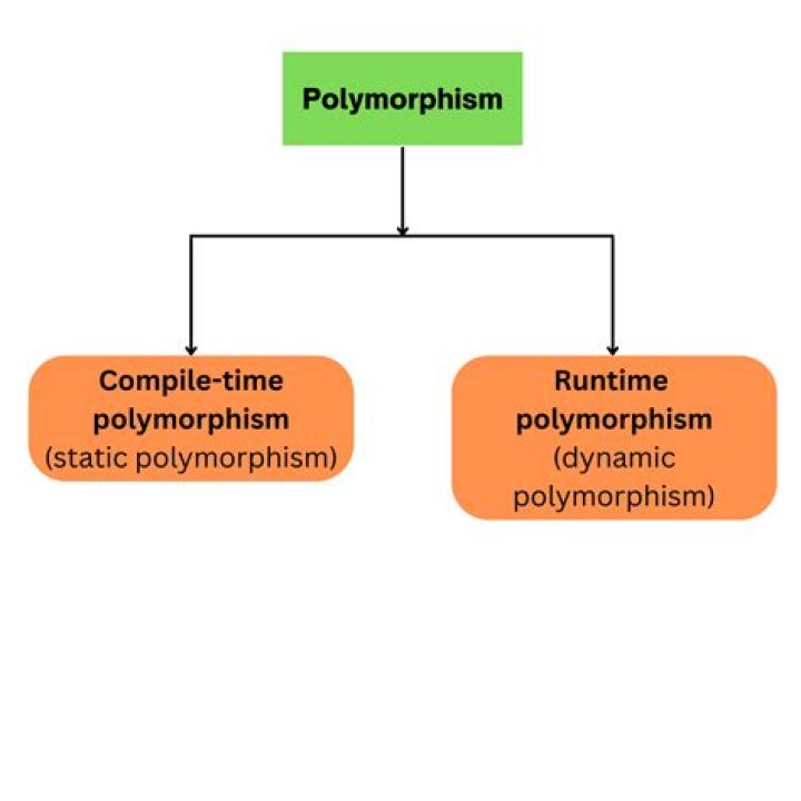What is the real time example of polymorphism in C#?