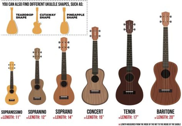What is the smallest ukulele?