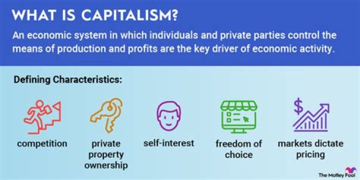 What is the true definition of capitalism?