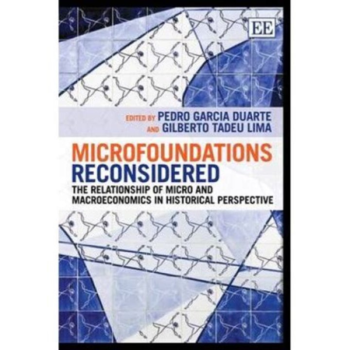 What is the ultimate purpose of the microfoundations program?