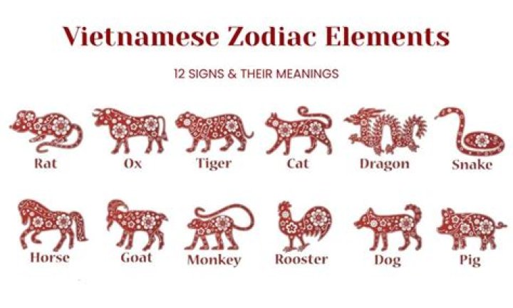 What is the Vietnamese diaspora Why is it important?