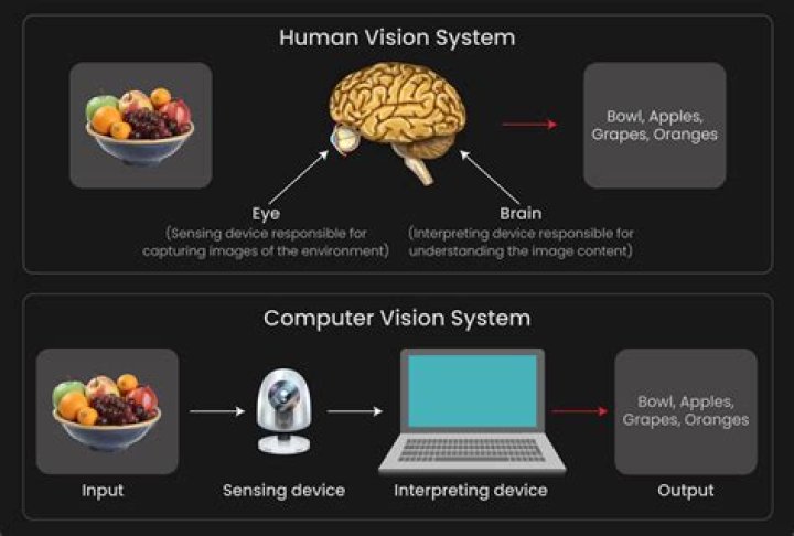 What is the vision of mathematics education?