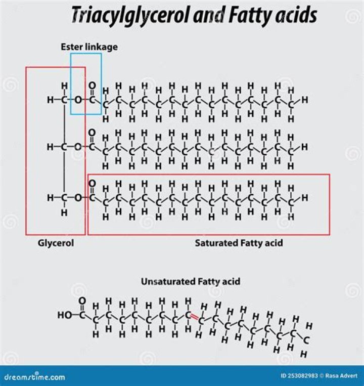 What is triglyceride clearance?
