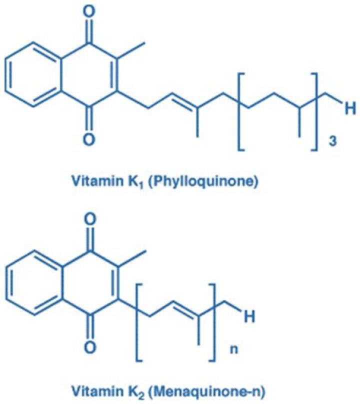 What is vitamin K quinone?