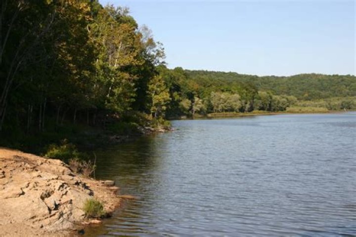 What kind of fish are in the Whitney Point Reservoir?