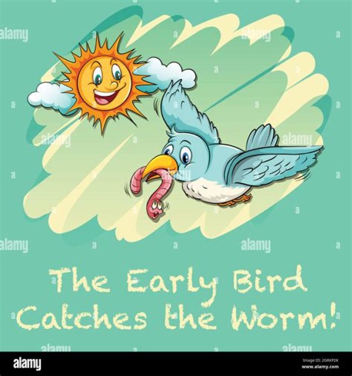 What kind of phrase is the early bird catches the worm?