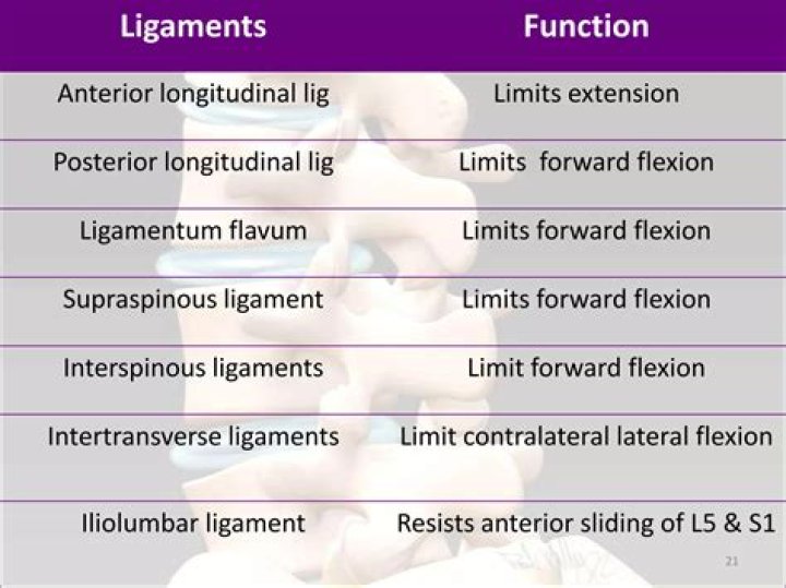What ligaments limit wrist flexion?
