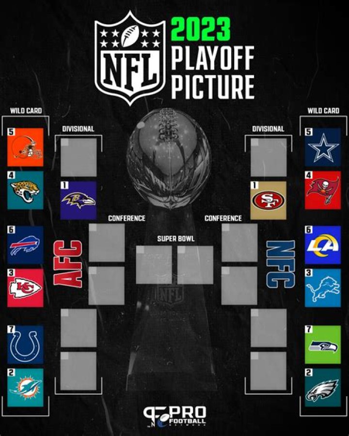 What NFL teams are in the playoffs?