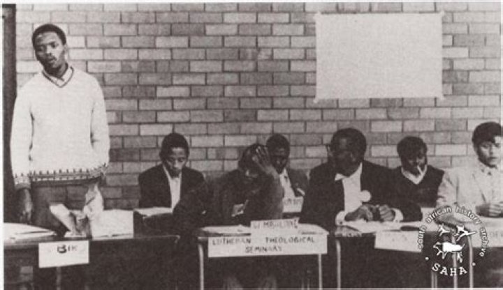 What role did Steve Biko play in the formation of South African Student Organization?