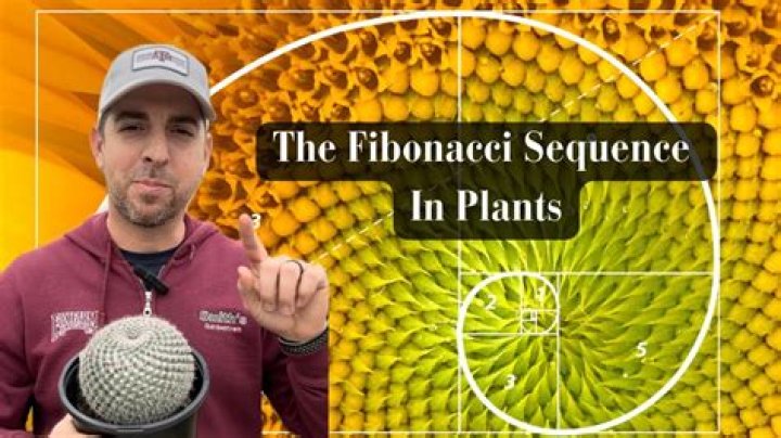 What songs use the Fibonacci sequence?