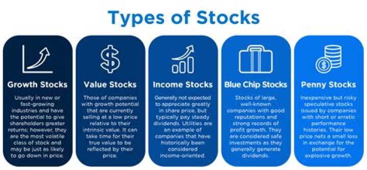 What stocks are in BRK B portfolio?