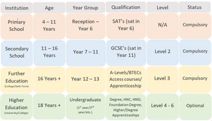 What subjects can you choose in year 9?
