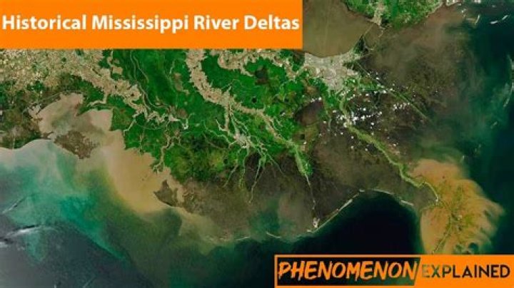 What type of delta is the Mississippi River?