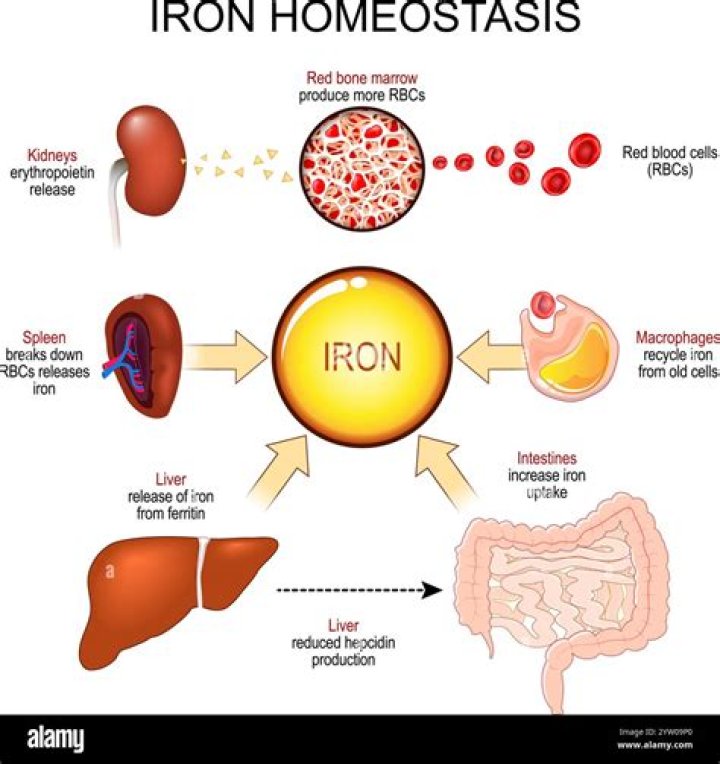 What type of iron is EZFE?