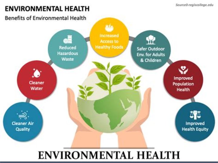 What types of environmental factors that affect mental health?