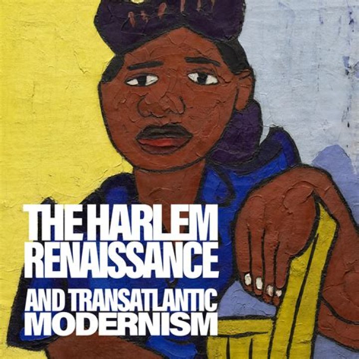 What was a major theme of poetry and literature of the Harlem Renaissance?