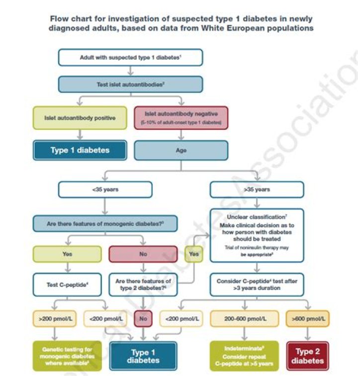 What was Kim Peek diagnosed with?