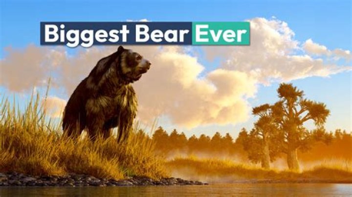 What was the largest bear that ever lived?