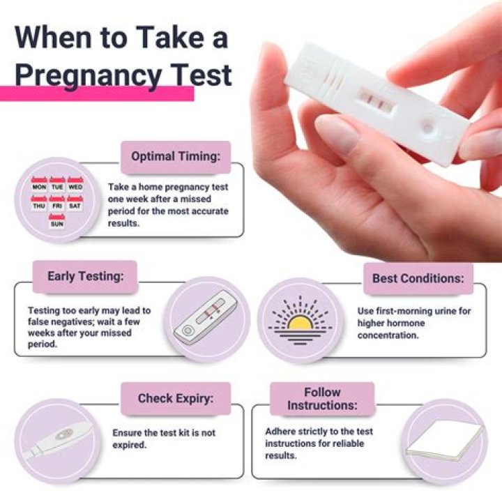 When should I take a pregnancy test after taking letrozole?