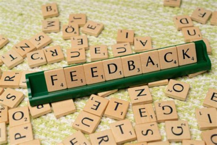 When was the word feedback invented?
