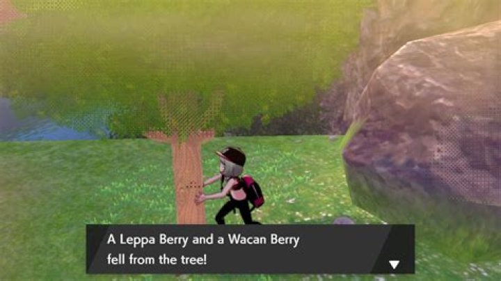 Where can I buy leppa berries in Pokemon Platinum?