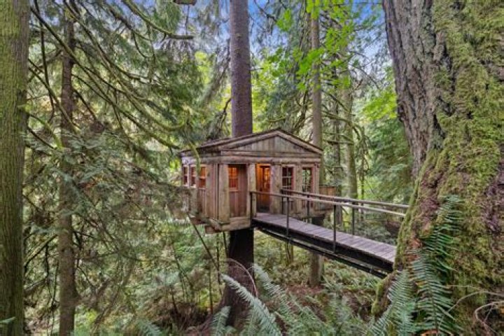 Where can I stay in a treehouse UK?