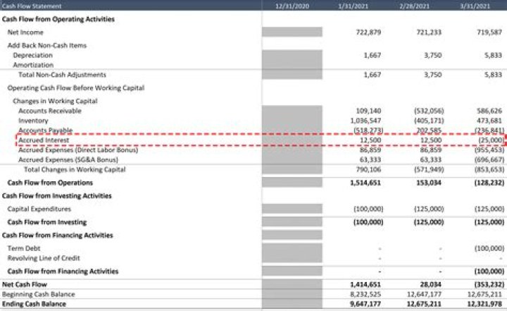 Where does interest expense go in cash flow statement?